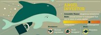 Sea Creature Ventures Image 5