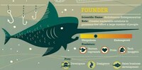 Sea Creature Ventures Image 6