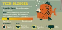 Sea Creature Ventures Image 8