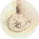 Microscopic Beverage Captures Image 2