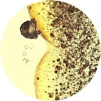 Microscopic Beverage Captures Image 3