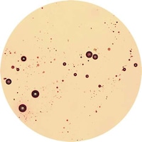 Microscopic Beverage Captures Image 4