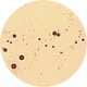 Microscopic Beverage Captures Image 4