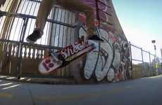 Dizzying Camcorder Campaigns