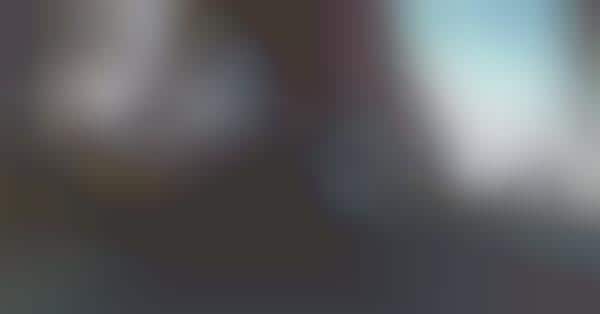 Dizzying Camcorder Campaigns
