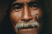 Death-Defying Honey Collectors Image 2
