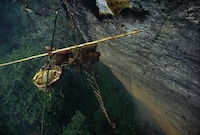 Death-Defying Honey Collectors Image 5