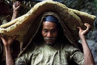 Death-Defying Honey Collectors Image 7