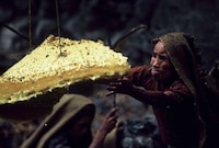 Death-Defying Honey Collectors Image 8