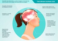 No-Nonsense Naughtiness Facts Image 2