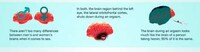 No-Nonsense Naughtiness Facts Image 3