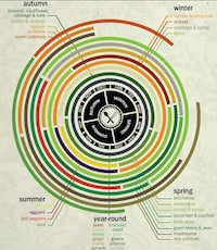 Seasonally Organized Produce Charts Image 5