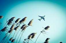 Airplane Prey Photography