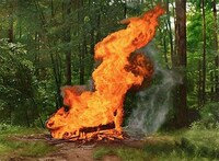 Blazing Bonfire Paintings Image 3