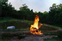 Blazing Bonfire Paintings Image 7