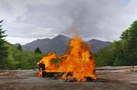 Blazing Bonfire Paintings Image 8