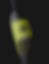 Absent Mascot Vino Branding Image 1