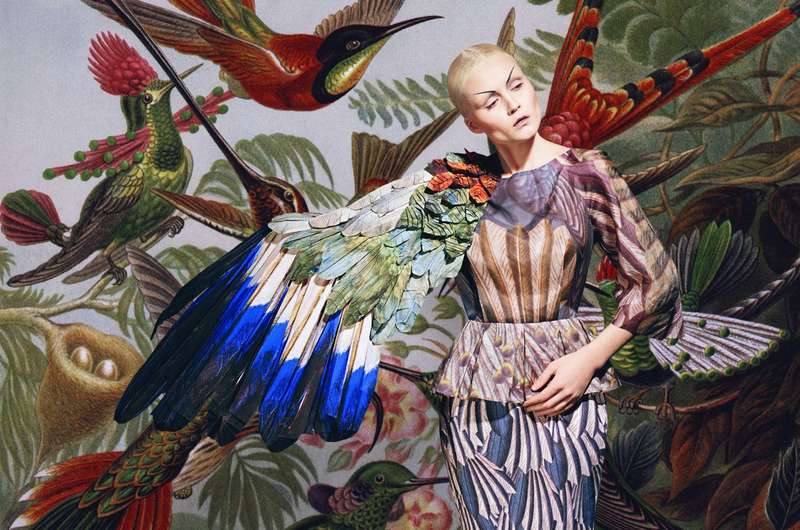 Camouflaged Couture Captures