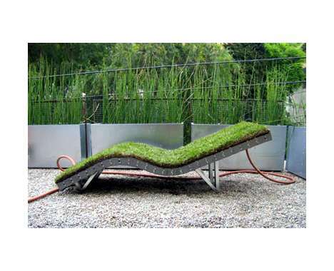 36 Lawn-Laced Concepts