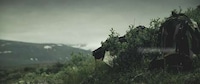 Tribal Journey Videos Image 7