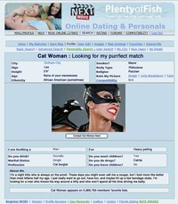 Hilariously Heroic Web Profiles Image 7