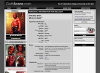 Hilariously Heroic Web Profiles Image 8