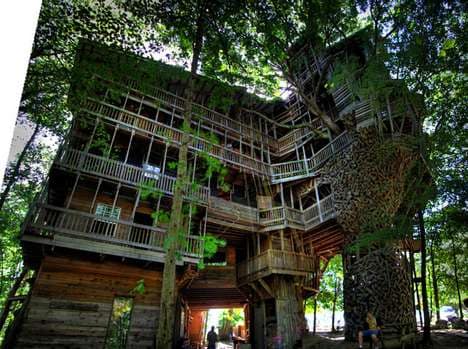 Colossal Tree-Clinging Churches
