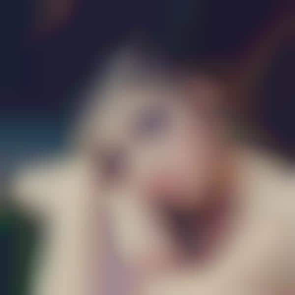 Contemporary Ballerina Captures