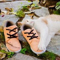 Indie Singer Sneakers Image 3