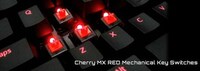 Personalized Gaming Keyboards Image 5