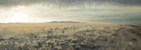 Dry Desert Captures Image 3
