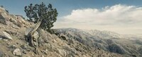 Dry Desert Captures Image 6
