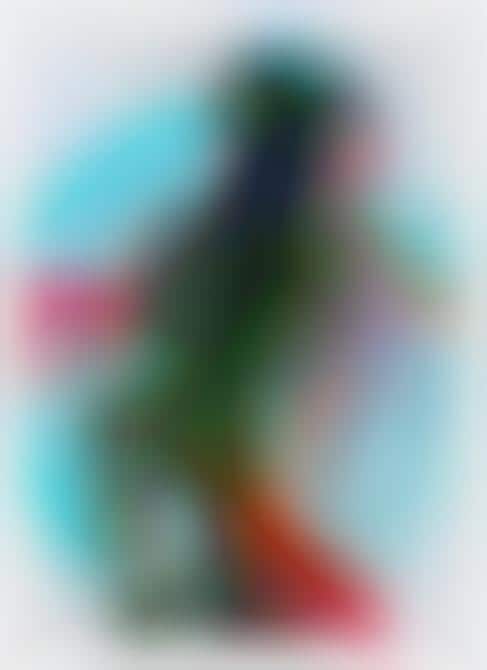 Psychedelic Overexposed Captures