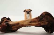 Napoleon Complexed Puppies