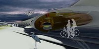 Water-Purifying Bridges Image 2