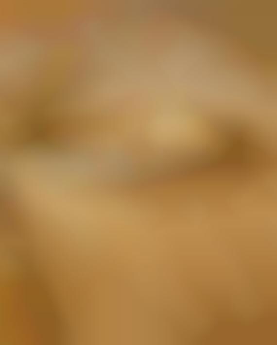 Woodsy Engagement Bands