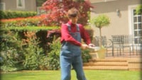 Satirical iPad Commercials Image 3