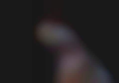 Vivacious Chromatic Visages