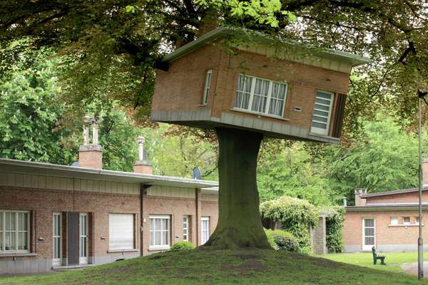 Ironic Senior Tree Houses