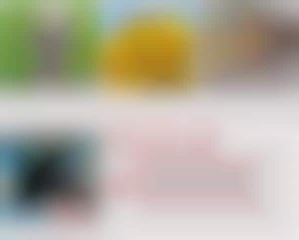 Streamlining Image Add-Ons
