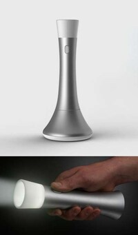 Dual-Purpose Lighting Image 2