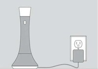 Dual-Purpose Lighting Image 3