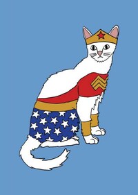 Feline Superhero Caricatures Image 6