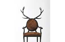 40 Antlered Home Accessories