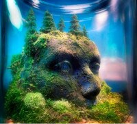Fantastical Terrarium Artwork Image 3