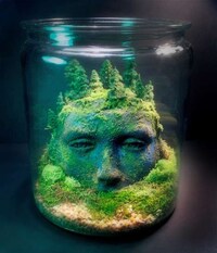 Fantastical Terrarium Artwork Image 5