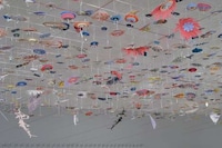 Floating Flower Installations Image 4