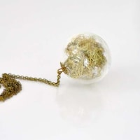 Transparent Herb-Filled Trinkets Image 2