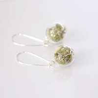 Transparent Herb-Filled Trinkets Image 5