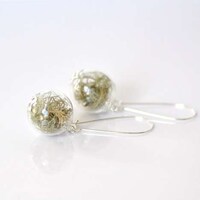 Transparent Herb-Filled Trinkets Image 7